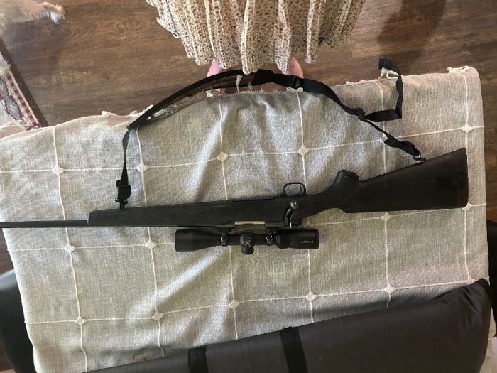 308 Winchester rifle