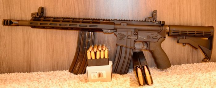 458 SOCOM rifle with mags and ammo
