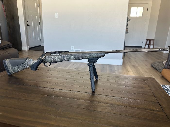 .308 Win Tikka T3X
