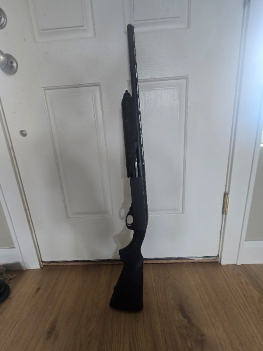 20 gauge shotgun