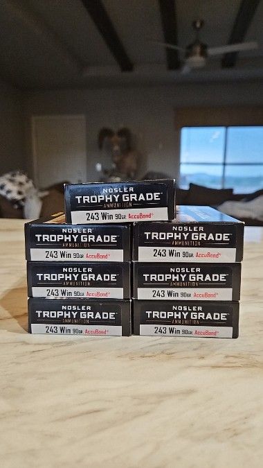 Nosler 90 grain accubond 243 ammo 
