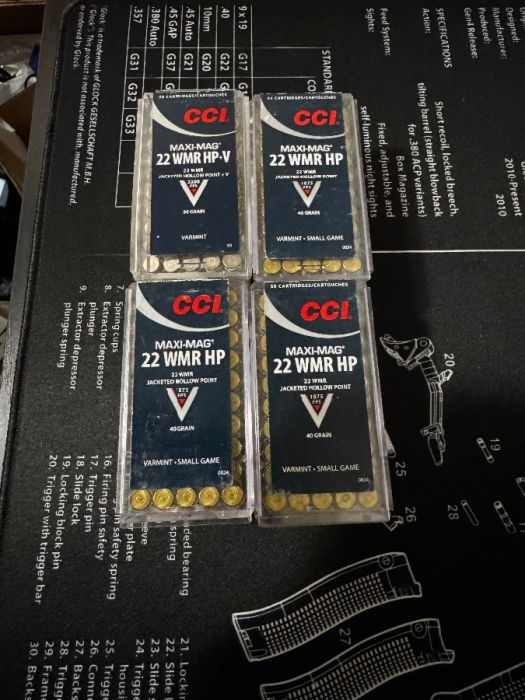 200 rounds CCI 22 mag