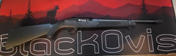Ruger 10/22 tactical 