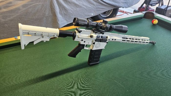 Stormtrooper AR10/.308