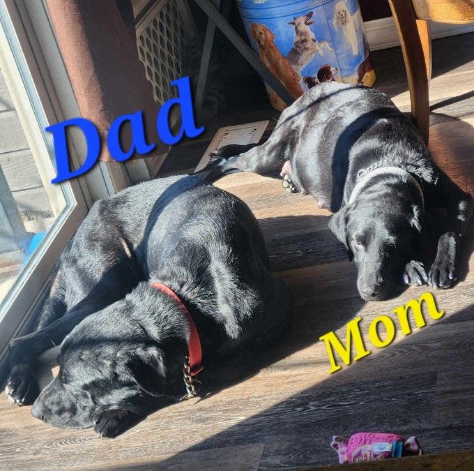 Dad and mom getting some sun while napping