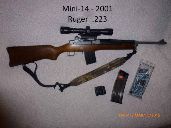 Ruger Mini 14 w/ Pro Hunter 4x32 Scope