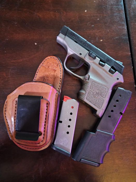 S&amp;W BodyGuard 380 v1.0