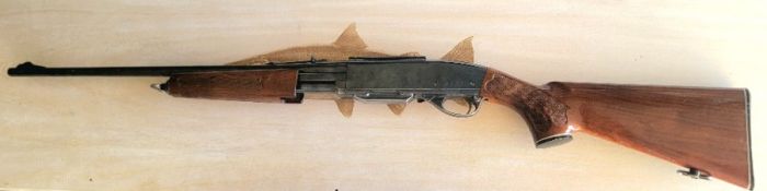 Remington .30-06 model 760