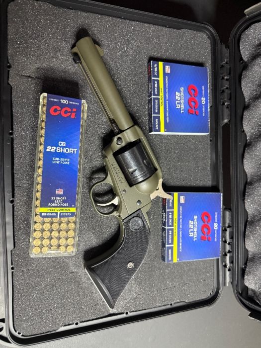 Ruger Wrangler .22lr