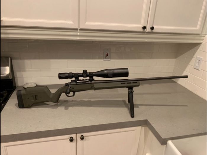 Remington 700 in 300 win mag