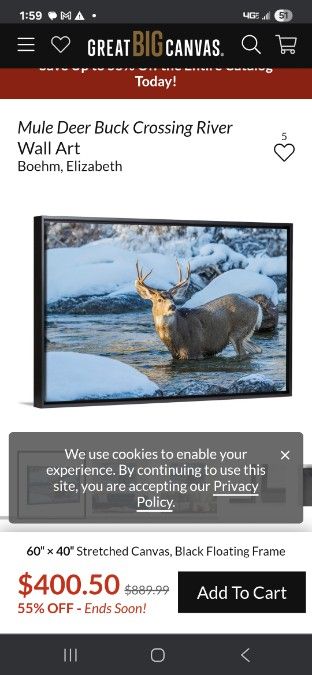 5 x 4.5 Canvas Picture of Giant Muley Buck
