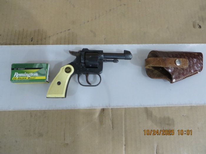 Rosco arms co. Vestpocket 22 short