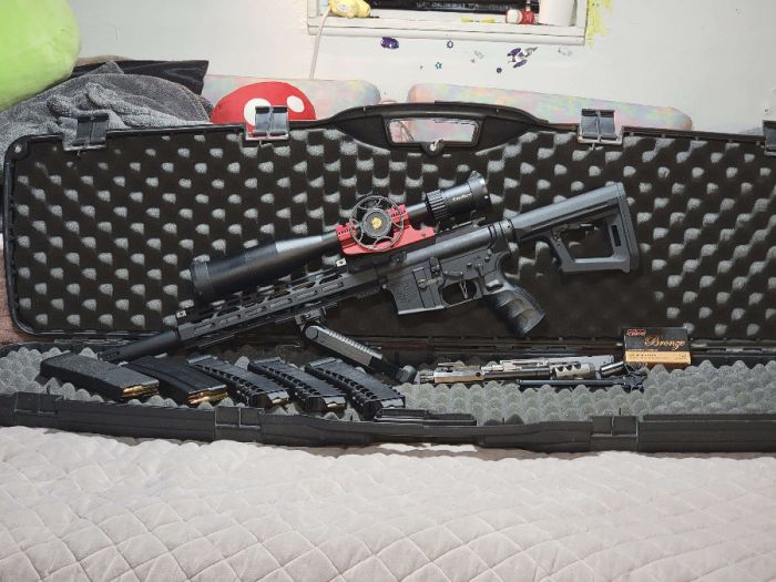 Custom Diamond Back AR 15 666