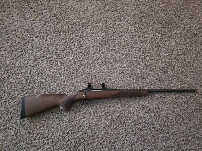 Tikka T3 300 wsm wood stock