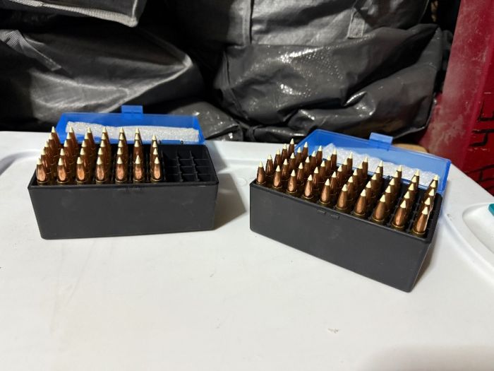 308 Handloads 84 Count