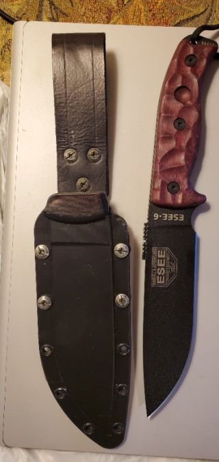Esse 6P w/custom scales 