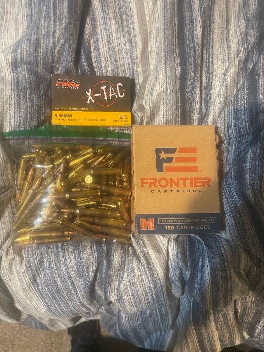 300rds .556 Ammo 