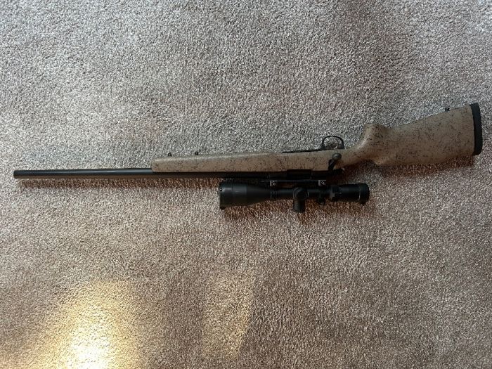 Custom Remington 700 .220 Swift
