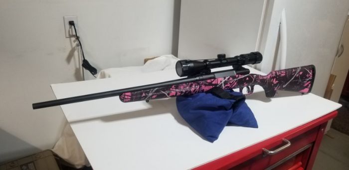 Savage Axis .243 compact rifle w/scope, $425