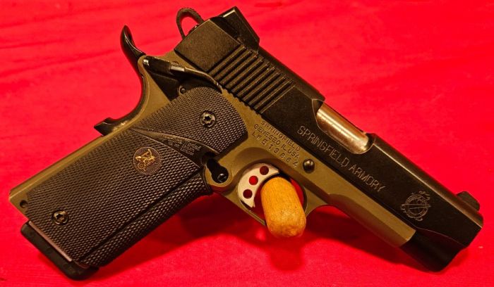 SPRINGFIELD CHAMPION 45 ACP TI-2632