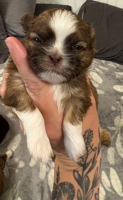 Boy 2