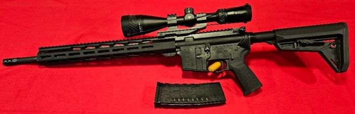RUGER AR-556 556 TI-1654
