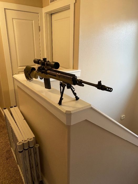 Springfield M1A