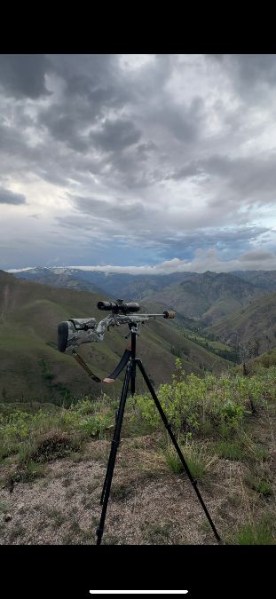 Browning X-Bolt LR Hells Canyon 300 WIN MAG