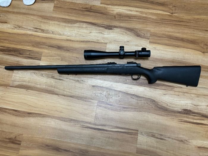 Remington 700  223