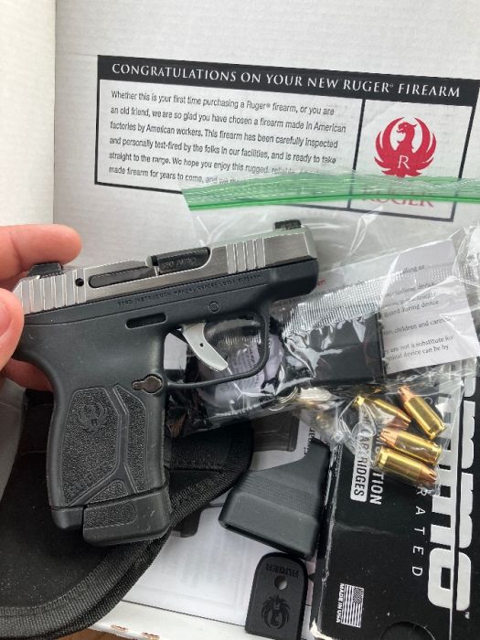Ruger 380 max