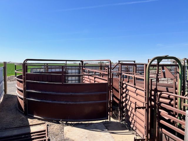 45+ LiveStock Panels + Round Pen + Squeeze Chutes
