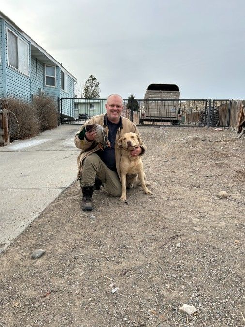 Chesapeake Bay Retriever (Deadgrass)