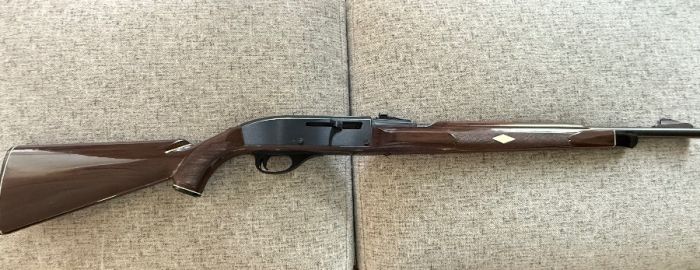 Remington Nylon 66 .22 cal