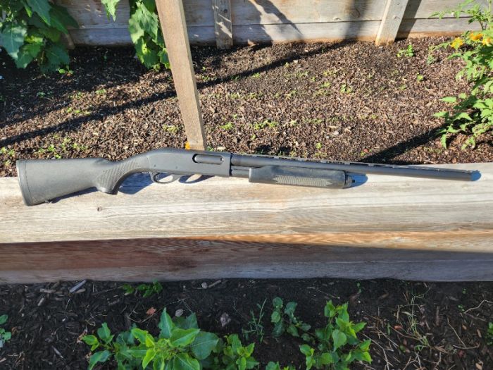 Rem 870 Express Youth 16ga w/ammo