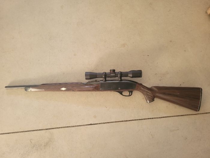 Remington Nylon 66 .22 lr.