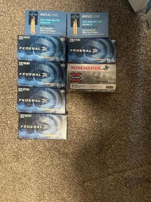 Factory 300 Win Mag ammo. 