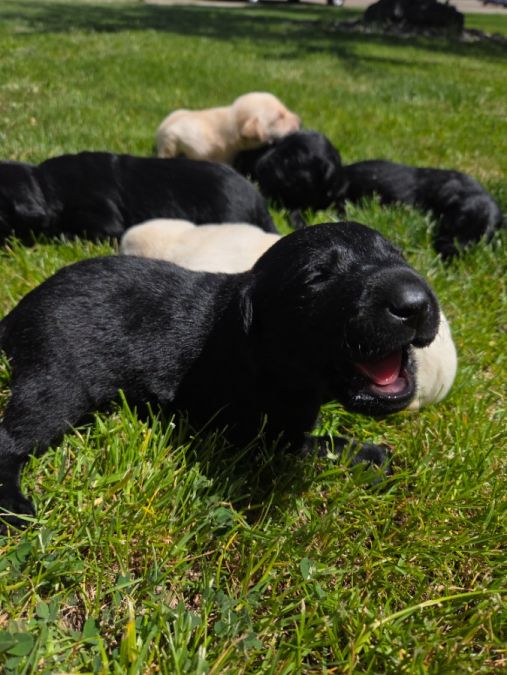 A big yawn