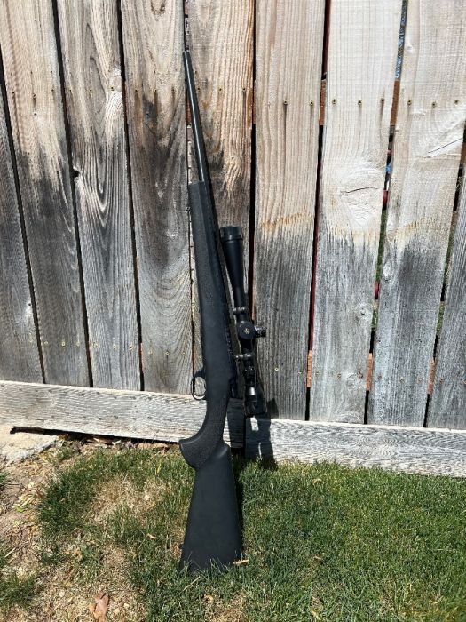 Howa 1500 .204 Ruger