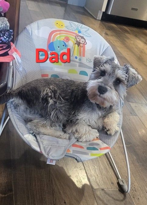 Dad