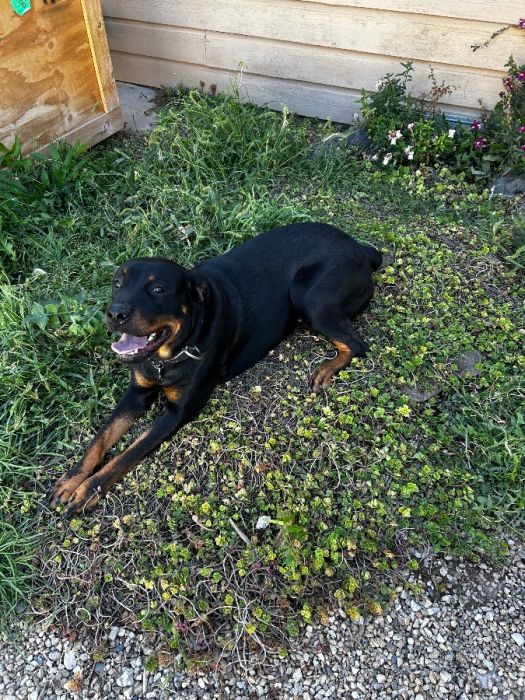 Looking for a good home. 