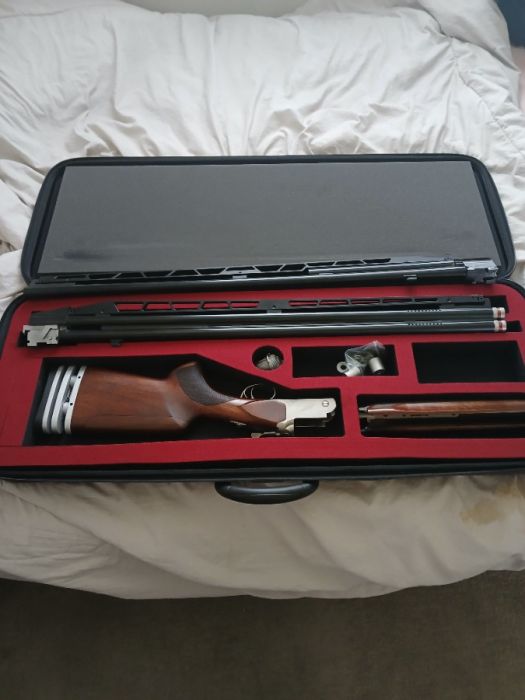 Entry level trap or sporting clay shotgun