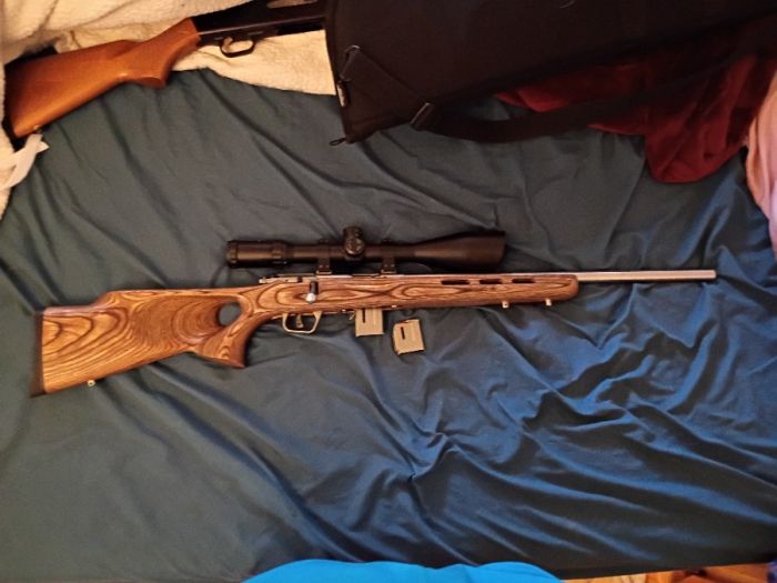Savage 17 hmr 